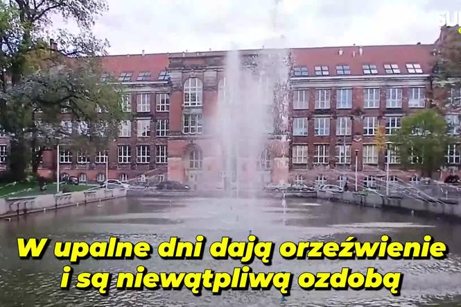 Sezon na szczecińskie fontanny w pełni. Nie wszędzie jednak popłynie woda