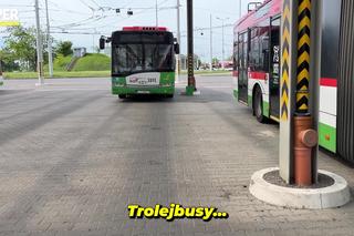 Trolejbusy w Lublinie. Autobusy na szelkach jeżdżą po mieście ponad 70 lat