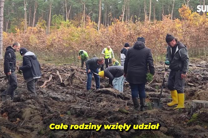 Mieszkańcy dla natury! Tak sadzili las pod Bydgoszczą