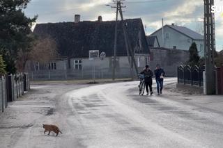 Do jego domu przyszedł sam premier Wielkiej Brytanii! Ale na herbatę zaproszenia nie przyjął