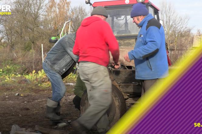 Rolnicy. Podlasie. Andrzej z Plutycz pęka ze śmiechu. Gienek runął jak długi