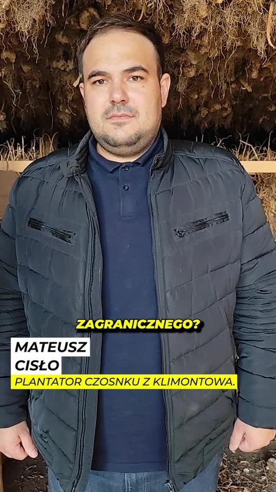 Jak odróżnić polski czosnek od zagranicznego