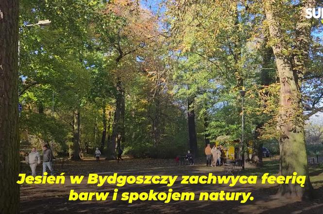 Tu historia spotyka się z naturą. Jesienne uroki Kanału Bydgoskiego