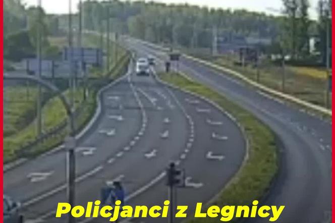 Przerażające sceny na drodze! Kierowca volkswagena zszokował. Padły mocne słowa [WIDEO, ZDJĘCIA]