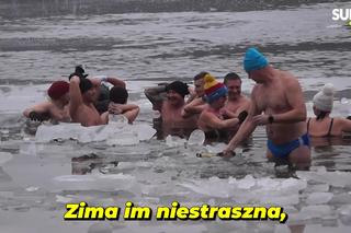 Lodowata woda, gorące emocje. Morsy znów opanowały jezioro pod Bydgoszczą