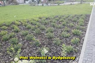 Plac Wolności w Bydgoszczy już bez pomnika, ale z nową rzeźbą. Sprawdzamy, kiedy koniec prac