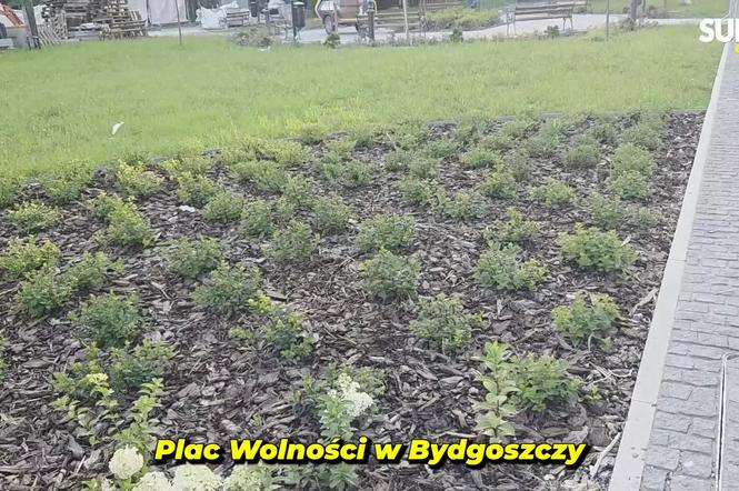 Plac Wolności w Bydgoszczy już bez pomnika, ale z nową rzeźbą. Sprawdzamy, kiedy koniec prac