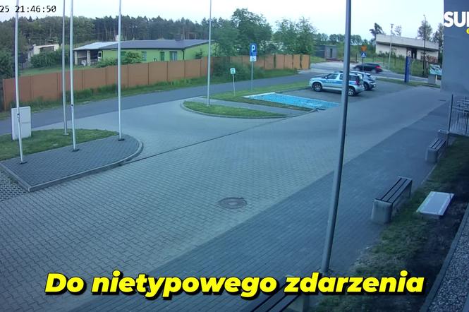 Dostał dożywotni zakaz, więc wymyślił to! Policjanci wyjrzeli przez okno i zobaczyli, jak wjeżdża na parking [WIDEO]