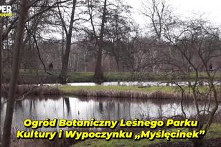 Ogród Botaniczny w Myślęcinku, czyli zielona perła Bydgoszczy