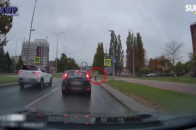 Chwile grozy przy przejściach dla pieszych! Kierowcy robią to tuż przed pasami