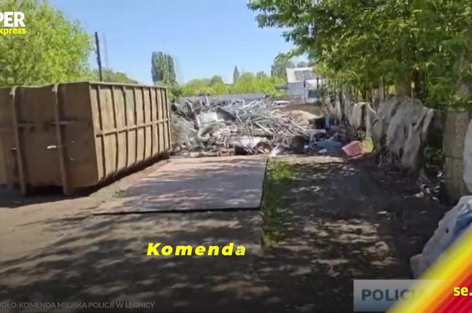 Niewiarygodne, co odkryli na cmentarzu. Nie mogli uwierzyć własnym oczom