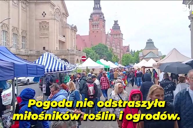 Wały Chrobrego zakwitły kolorami. Pomimo deszczu i zimna, kiermasz Pamiętajcie o ogrodach przyciągnął tłumy
