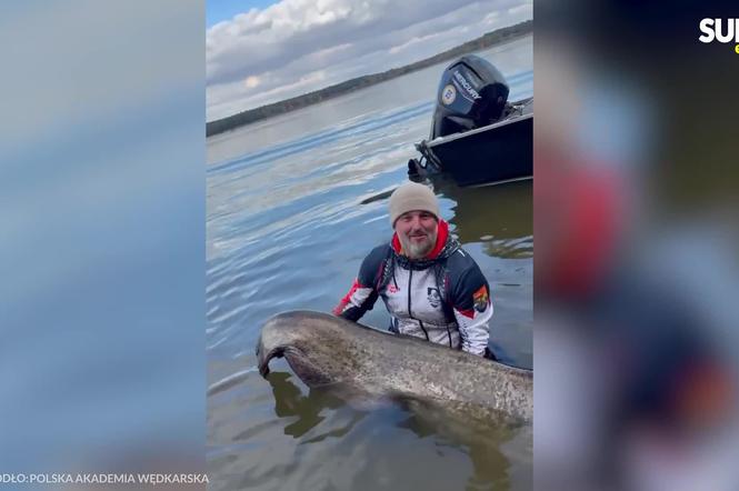 Krzysztof i Adrian złowili suma o długości 292 cm. To nowy rekord świata!