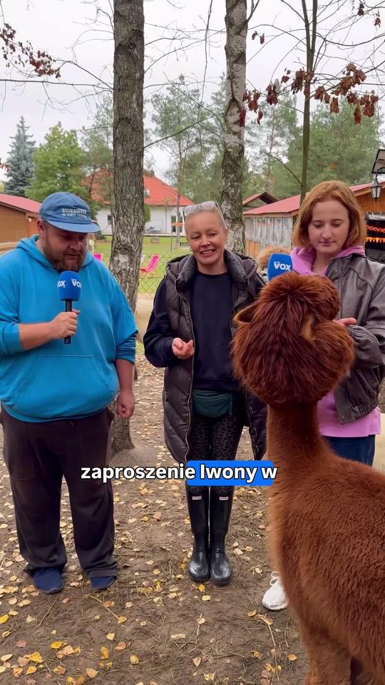Alpaki | VOX Robi robotę
